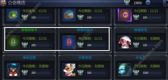 万王之神挂机技巧全面解析：如何实现高效自动打怪与升级攻略