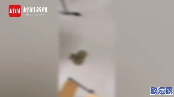 胸太大被男同桌强解开胸罩引发热议网友纷纷讨论校园性别关系与个人边界问题