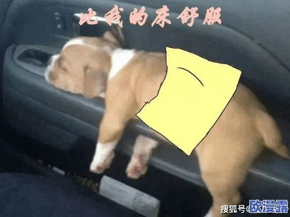 嗯啊啊啊好舒服,真是太享受了,这种感觉让人忘却一切烦恼! 嗯啊啊啊好舒服,真是太享受了,这种感觉让人忘却一切烦恼!