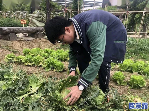 韩国大尺度吃奶床戏展现亲密关系的美好与温暖传递爱与关怀让人感受到家庭的重要性和情感的力量