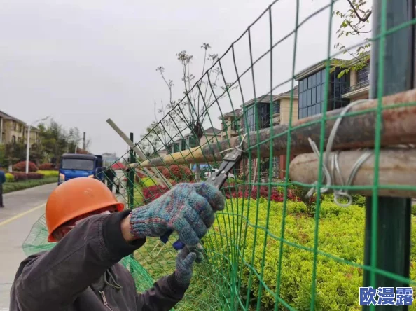 国语对白一区二区三区惊爆信息：全新剧集上线，精彩剧情引发热议，众多明星加盟，粉丝期待值飙升！