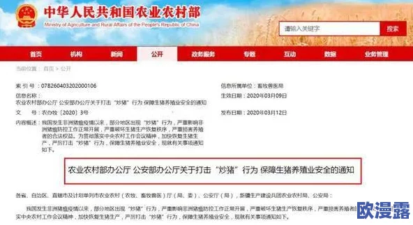 看污片的网站近期遭到多国监管机构的联合打击多个平台被关闭用户数据泄露风险加大请注意网络安全