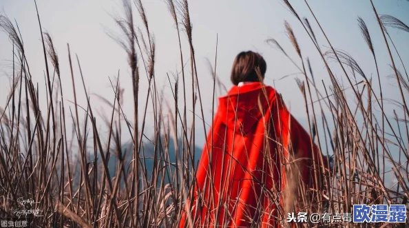 91风月，真是让人感慨万千，既有美好的回忆，也有无奈的现实