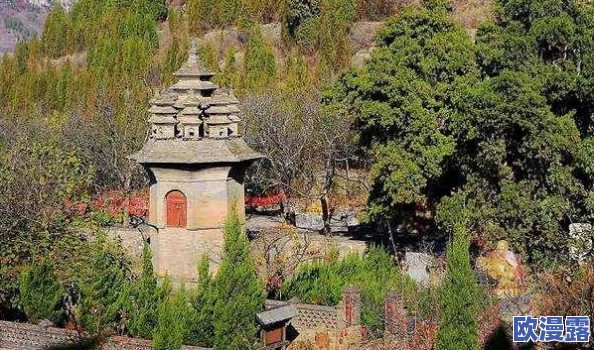 天龙八部手游深度解析：飘渺峰副本Boss全攻略及高效通关技巧