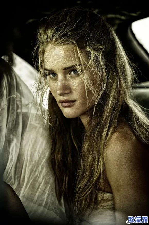 欧美一级爽片 欧美一级爽片