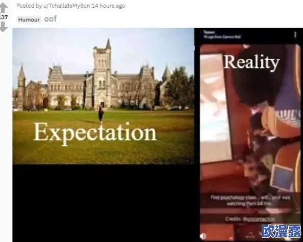 欧美一级特级毛片引发热议网友讨论影片内容与文化差异对比分析吸引大量观众关注和评论