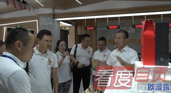 明星志愿手游深度解析：好友互访奖励一览及策略分析指南