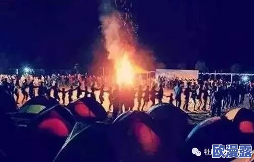 大航海之路：揭秘甜蜜果实获得方法，营地篝火附近隐藏的秘密技巧
