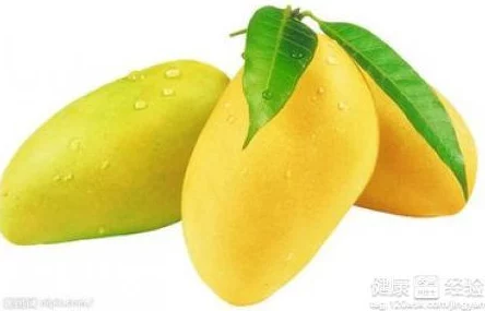 孕妇能吃芒果吗孕期适量食用芒果有助于补充营养但需注意过敏和糖分摄入问题