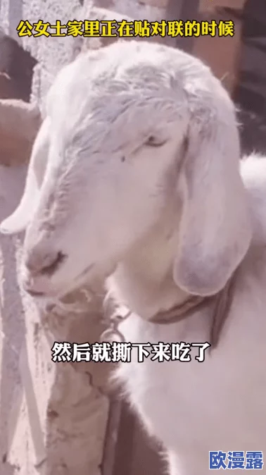 欧美人与牲禽的奇妙互动引发热议网友纷纷猜测背后故事究竟是文化差异还是另有隐情