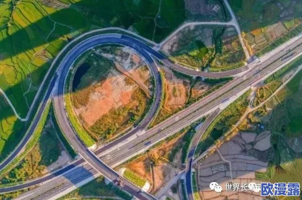 QQ飞车手游魅力值作用全面详解及高效获得方法一览指南