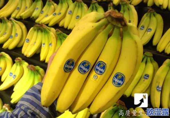 精品久久久久香蕉网网友推荐这个网站提供丰富的内容和优质的服务让人流连忘返非常值得一试适合各类用户使用