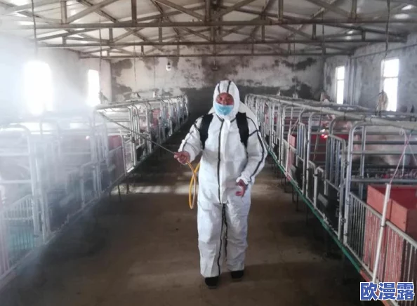超h高h污肉校 网友评价：这部作品的情节设定非常大胆，角色之间的互动充满火花，让人忍不住想要继续追下去