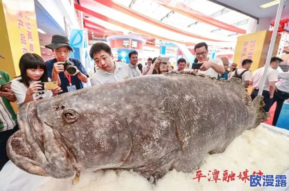 鲤鱼乡太深了慢点双性近日引发热议网友纷纷猜测其背后故事有人认为是对当下社会现象的隐喻引发讨论