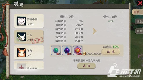地灵曲手游全面攻略：如何招募强力伙伴及高效提升伙伴等级技巧