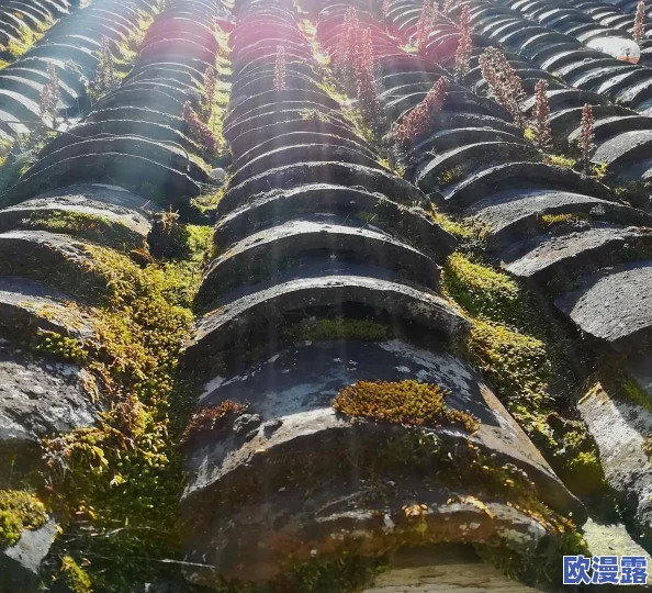 爱你现在的时光近日一项调查显示越来越多的人开始重视当下生活的美好与珍贵，倡导享受每一个瞬间的重要性